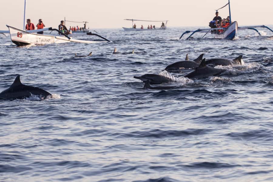 Bali: Watching Dolphin, Swimming & Snorkeling Tour - Practical preparation for the boat