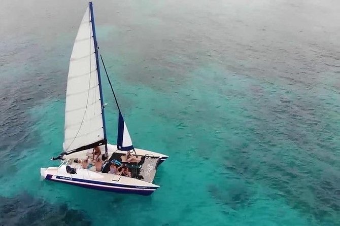 Barbados Catamaran Snorkel Cruise with Lunch and Open Bar - Why This Small Barbados Catamaran Works