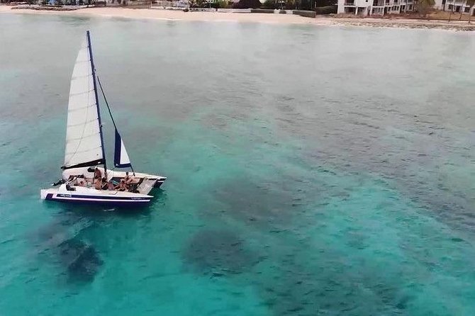 Barbados Catamaran Snorkel Cruise with Lunch and Open Bar - Carlisle Bay: Turtles, Fish, Rays, and Wrecks