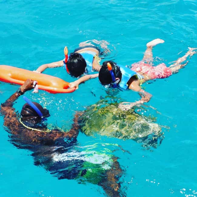 Barbados: Catamaran Tour with Snorkeling and Lunch - Shipwrecks, reefs, and schools of fish