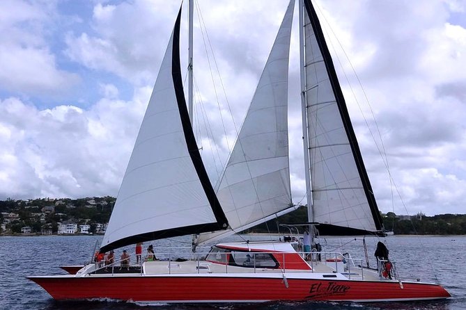 Barbados Catamaran Turtle and Shipwreck Snorkeling Cruise - What the crew adds to the experience