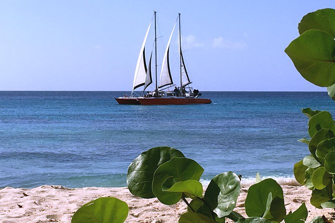 Barbados Catamaran Turtle and Shipwreck Snorkeling Cruise - Who will enjoy this Barbados catamaran trip