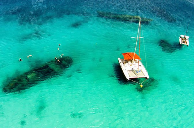 Barbados Catamaran Turtle Snorkel with Lunch and Open Bar - The Crew Makes the Difference