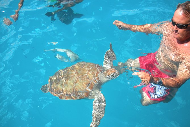 Barbados Catamaran Turtle Snorkel with Lunch and Open Bar - Is the Price Good Value?