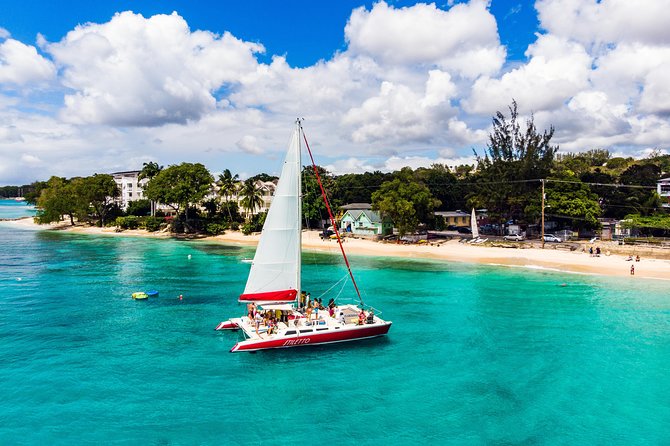 Barbados Catamaran Turtle Snorkel with Open Bar - Key points to know before you book