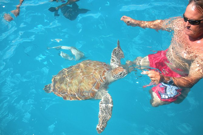 Barbados Catamaran Turtle Snorkel with Open Bar - Why this catamaran trip works so well in Barbados