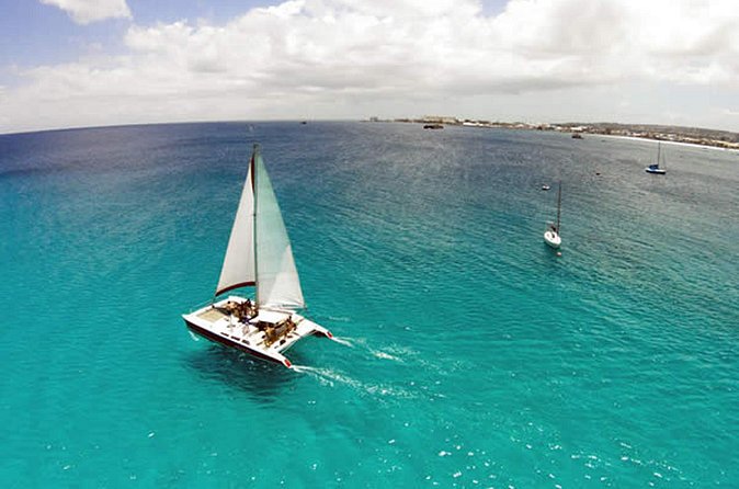 Barbados Catamaran Turtle Snorkel with Open Bar - Carlisle Bay and the turtle stop