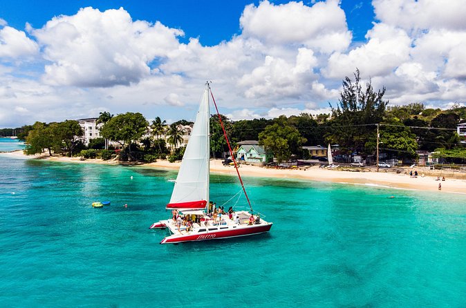 Barbados Catamaran Turtle Snorkel with Open Bar - Shipwrecks, fish, and the second snorkeling stop