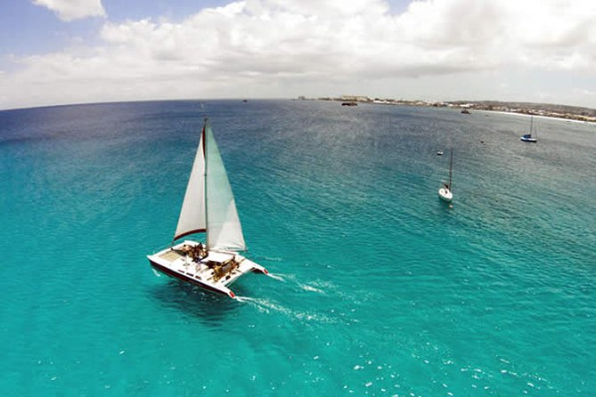 Barbados Catamaran Turtle Snorkel with Open Bar - How the three-hour schedule feels