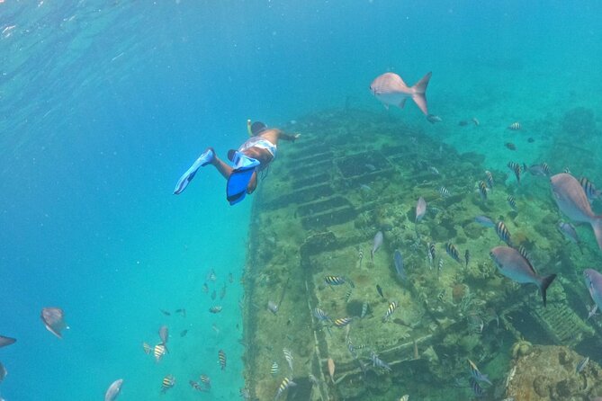 Barbados Glass Bottom Boat Cruise and Snorkeling - Why Carlisle Bay makes this a good short outing