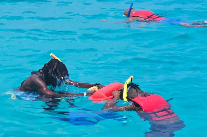 Barbados Glass Bottom Boat Cruise and Snorkeling - Snorkeling around the shipwrecks