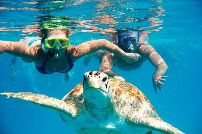 Barbados Glass Bottom Boat Cruise and Snorkeling - Starting at the Famous Bird Bar