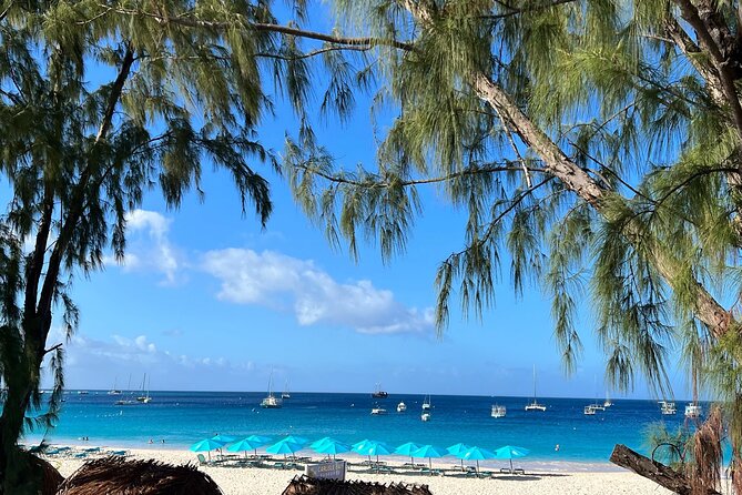Barbados Shore Excursion Snorkel cruise and Beach Day - What the $58 price really covers