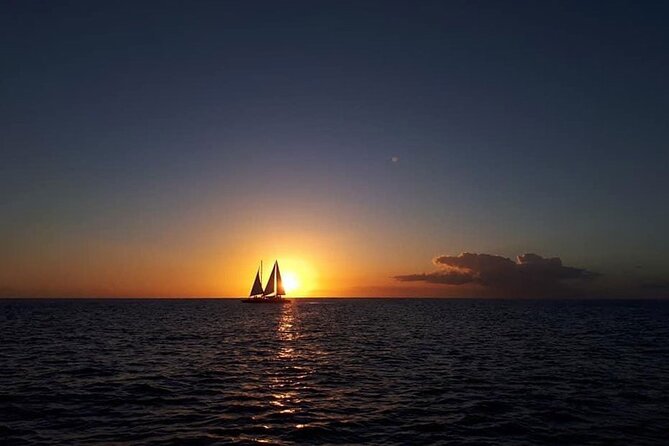 Barbados Sunset and Snorkeling Catamaran Cruise - First Water Stop: Turtle Snorkeling in Carlisle Bay