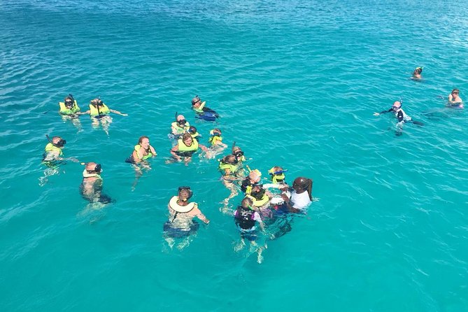 Barbados Turtle and Shipwreck Snorkel Adventure - At a glance: what makes this trip worth considering