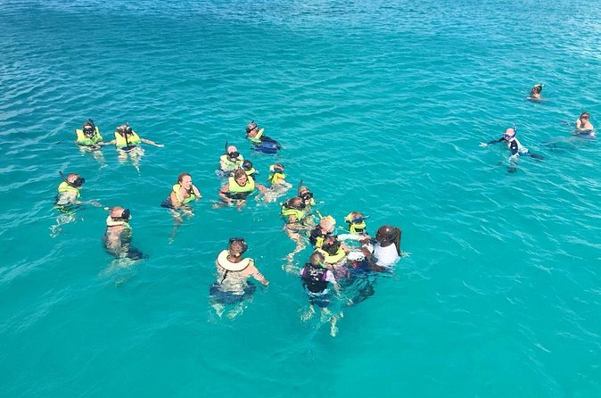 Barbados Turtle and Shipwreck Snorkel Adventure - Turtle time depends on patience