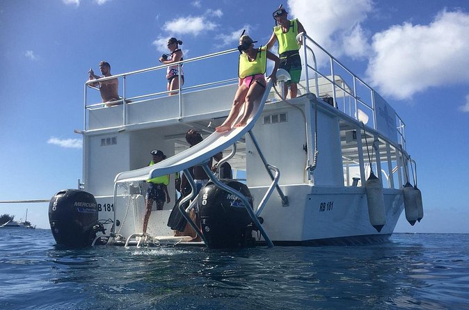 Barbados Turtle and Shipwreck Snorkel Adventure - Crowding is the main drawback