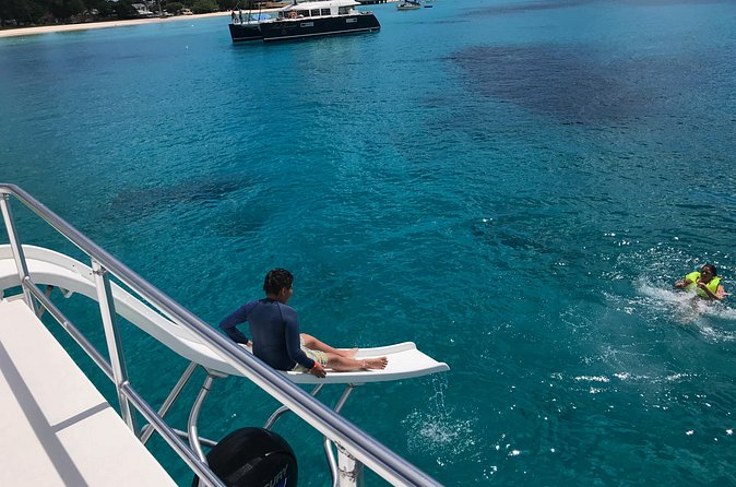 Barbados Turtle and Shipwreck Snorkel Adventure - What $36 gets you
