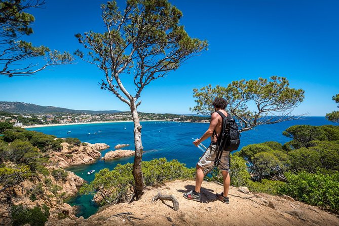 Barcelona: Costa Brava Easy Hike, Snorkel, Cliff-Jump & Meal - Why this Costa Brava day works so well