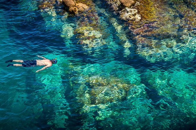 Barcelona Costa Brava Kayak, Snorkel & Cliff Jump Day Tour - Why this Costa Brava day trip works so well