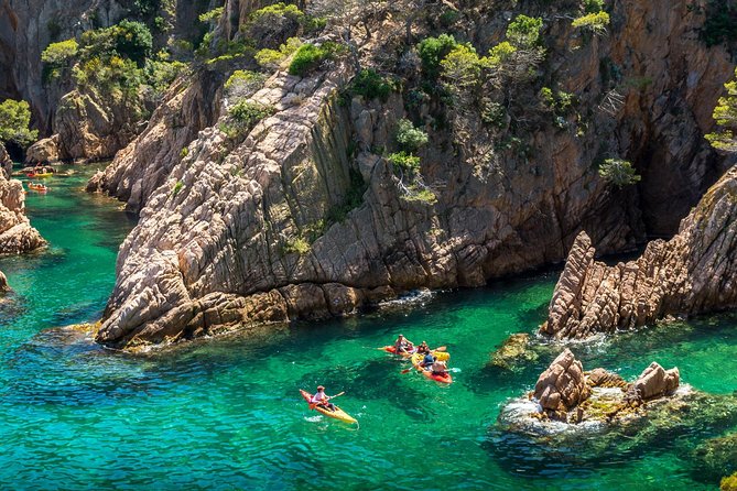 Barcelona Costa Brava Kayak, Snorkel & Cliff Jump Day Tour - Snorkeling among fish, starfish, and octopus