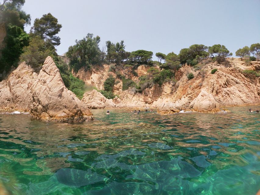 Barcelona: Costa Brava Kayaking & Snorkeling Tour with Lunch - Who should book, and who should sit this one out