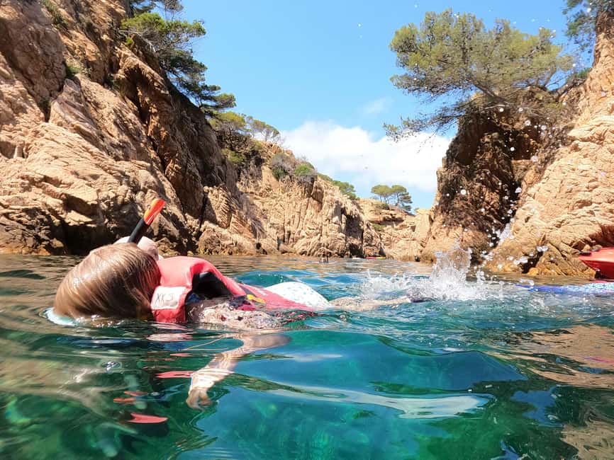 Barcelona: Costa Brava Kayaking & Snorkeling Tour with Lunch - What the three-hour kayak and snorkel session is like