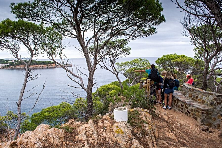 Barcelona: Costa Brava Tour with Kayak & Lagoon Snorkeling - Walking the Camino de Ronda near Sant Feliu de Guíxols