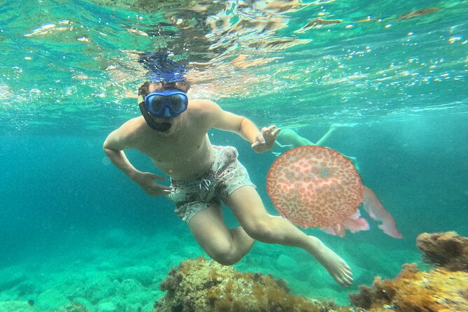 Barcelona Wild Experience: Kayak and Snorkel in Costa Brava - Paddling past rocky coves and photo stops