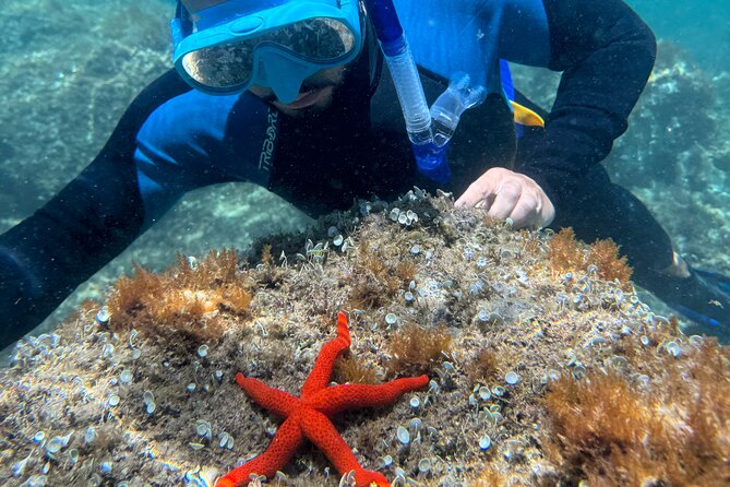 Barcelona Wild Experience: Kayak and Snorkel in Costa Brava - A simple local lunch outdoors