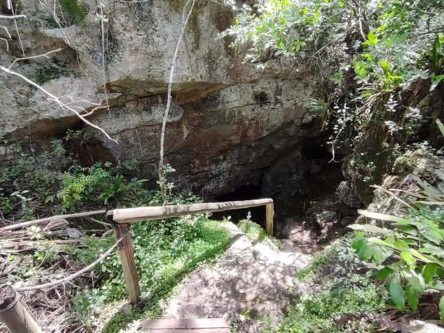 Bayahibe: National Park Jungle Walk & Snorkeling in Cenotes - Should you book it?