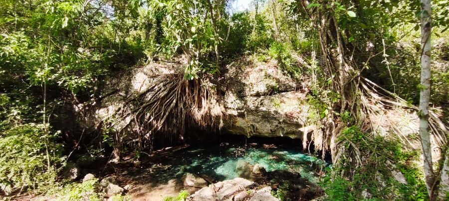 Bayahibe: National Park Jungle Walk & Snorkeling in Cenotes - Who should book this Bayahibe cave excursion?