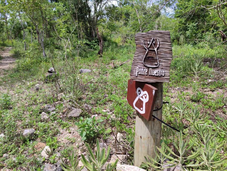 Bayahibe: National Park Jungle Walk & Snorkeling in Cenotes - Practical advice before you go