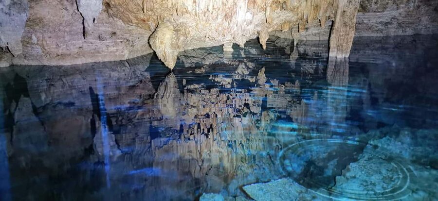 Bayahibe: National Park Jungle Walk & Snorkeling in Cenotes - The jungle walk: short, hot, and worth preparing for