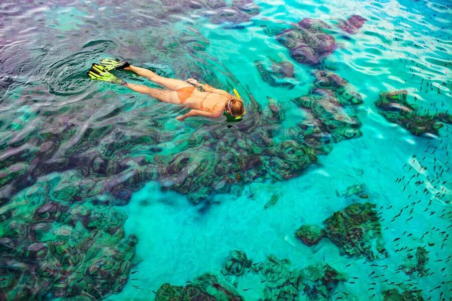 Bayahibe: Snorkeling Tour - Sea, Cotubanama park & Cenotes - Key points at a glance