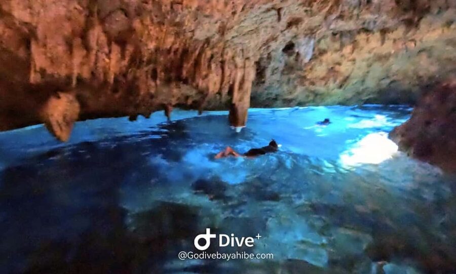 Bayahibe: Snorkeling Tour - Sea, Cotubanama park & Cenotes - Booking details and final call