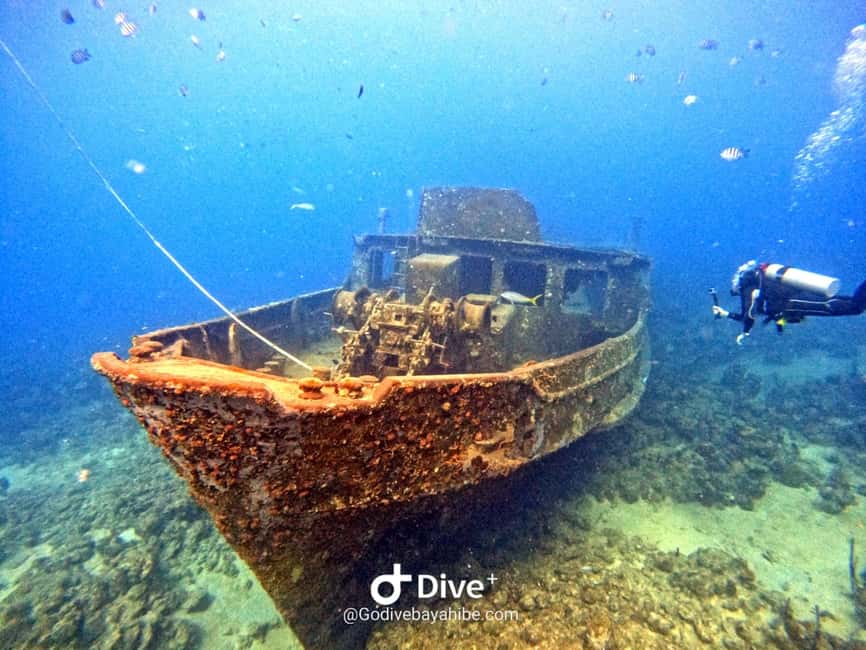 Bayahibe: Snorkeling Tour - Sea, Cotubanama park & Cenotes - Walking through Cotubanama National Park
