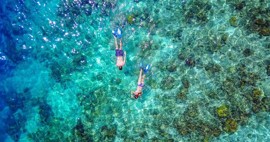 Bayahibe: Snorkeling Tour - Sea, Cotubanama park & Cenotes - A seaside lunch that gives the day a pause