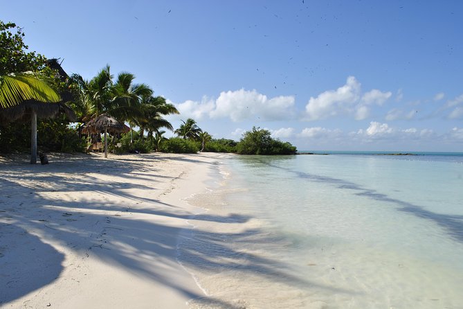 Beach Escape: Isla Contoy and Isla Mujeres with Snorkeling. - Why Isla Contoy deserves the long day