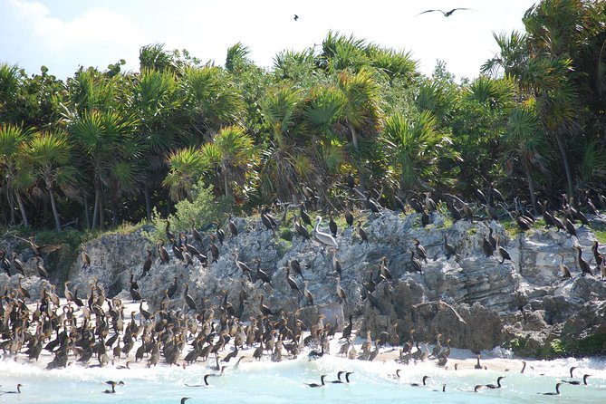 Beach Escape: Isla Contoy and Isla Mujeres with Snorkeling. - Food, drinks, and the boat atmosphere