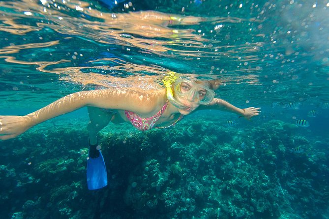 Beach Hopper Small-Group Snorkeling Tour in Los Cabos - Two bays, one short Cabo outing