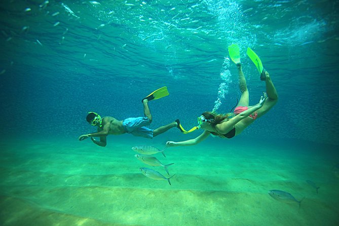 Beach Hopper Small-Group Snorkeling Tour in Los Cabos - Chileno Bay: an easy first look underwater
