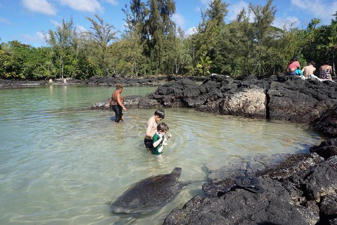 Beach Snorkel - Sea Turtle and Black Sand Lagoon - Is the water suitable for you?