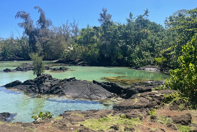 Beach Snorkel - Sea Turtle and Black Sand Lagoon - Snacks, transport, and the small practical details