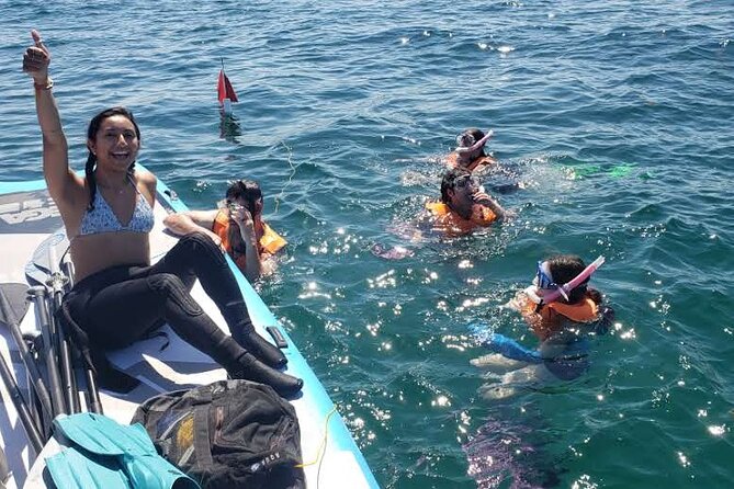 Beginner Friendly Island Snorkeling - A three-hour Miami water outing with two different personalities