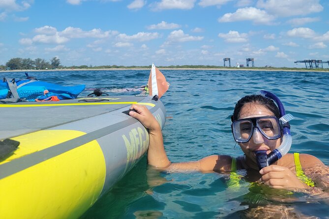 Beginner Friendly Island Snorkeling - What the snorkeling is really like