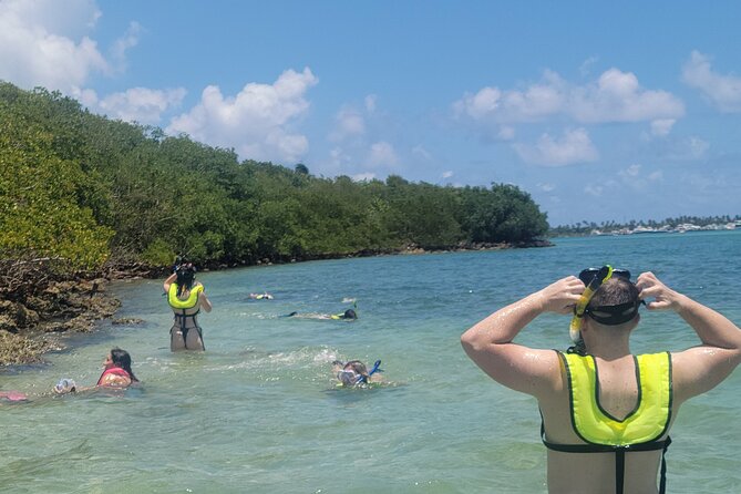 Beginner Friendly Island Snorkeling - Who will get the most from the $99 price