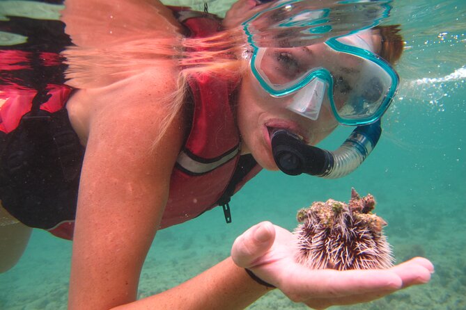Best of Mangrove Lagoon Kayak, Hike and Snorkel Adventure with Picnic Lunch - The guides are the heart of the experience