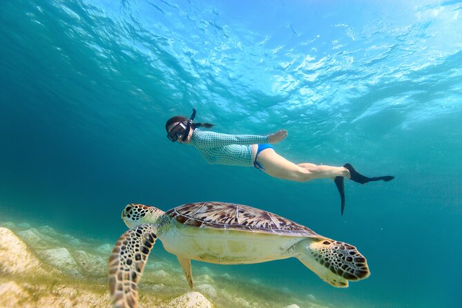 Best of Mangrove Lagoon Kayak, Hike and Snorkel Adventure with Picnic Lunch - Paddling the narrow Mangrove Lagoon channels
