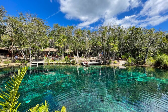 Bestseller! Tulum Private Tour with Turtles and Cenote Snorkeling - Akumal snorkeling from the beach